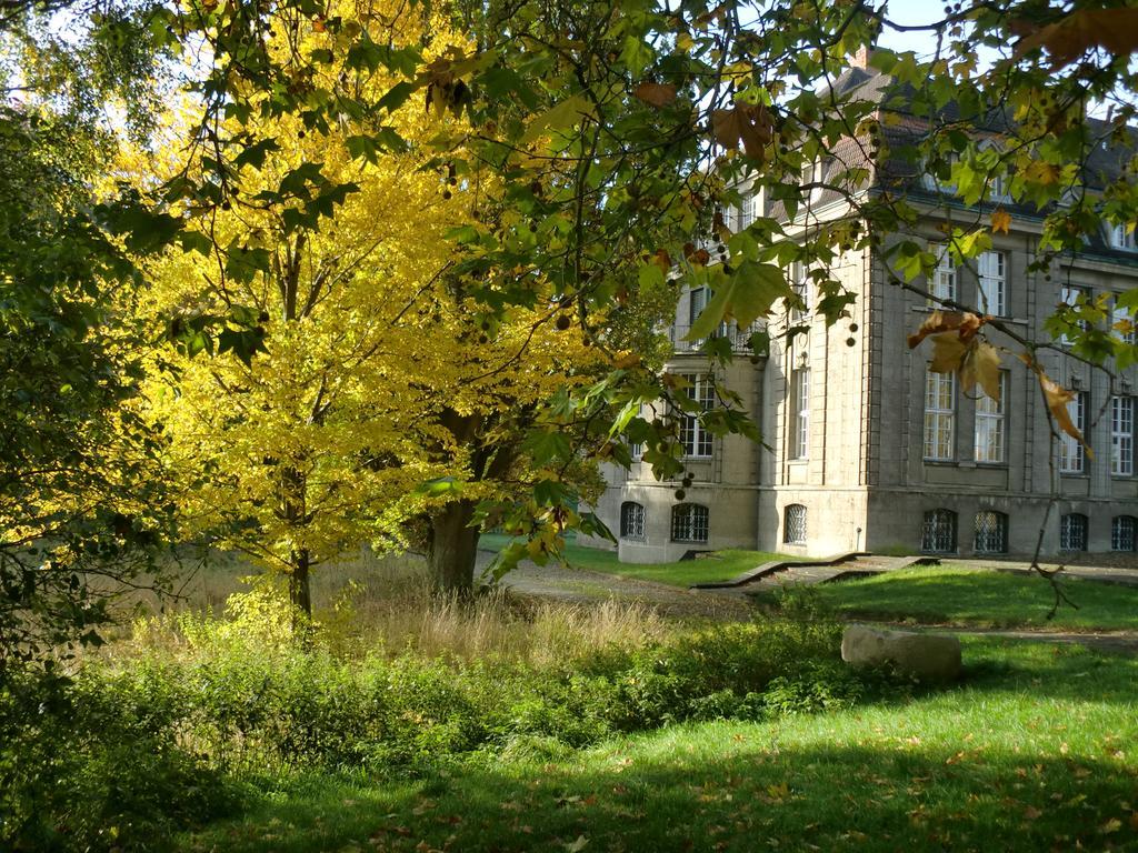 Jagdschloss-Bellin Bellin  ภายนอก รูปภาพ