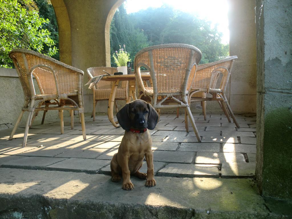 Jagdschloss-Bellin Bellin  ภายนอก รูปภาพ